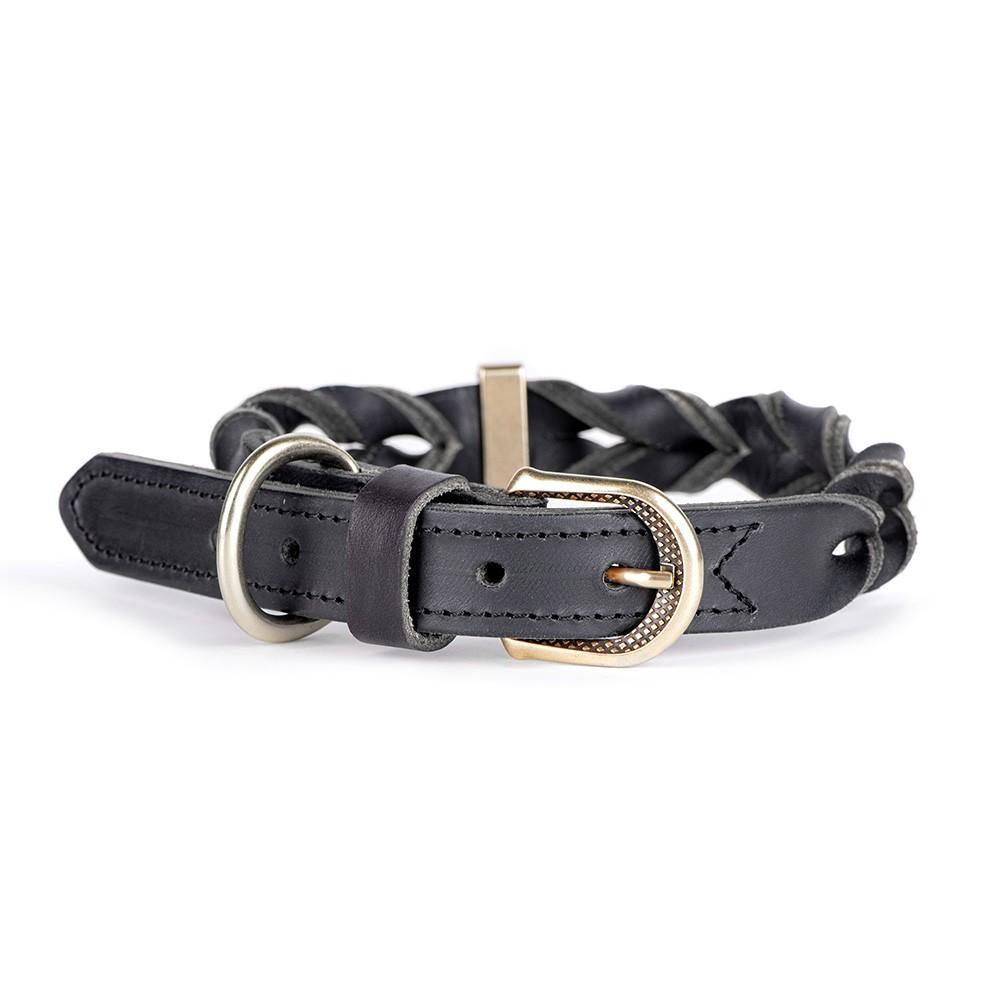 MyFamily Ascot Dog Collar, Black, Small/Medium