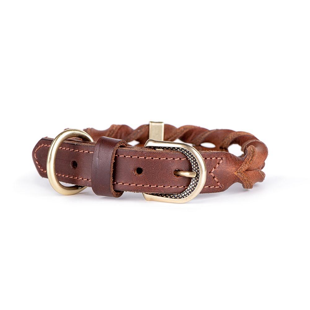 MyFamily Ascot Dog Collar, Brown, Small