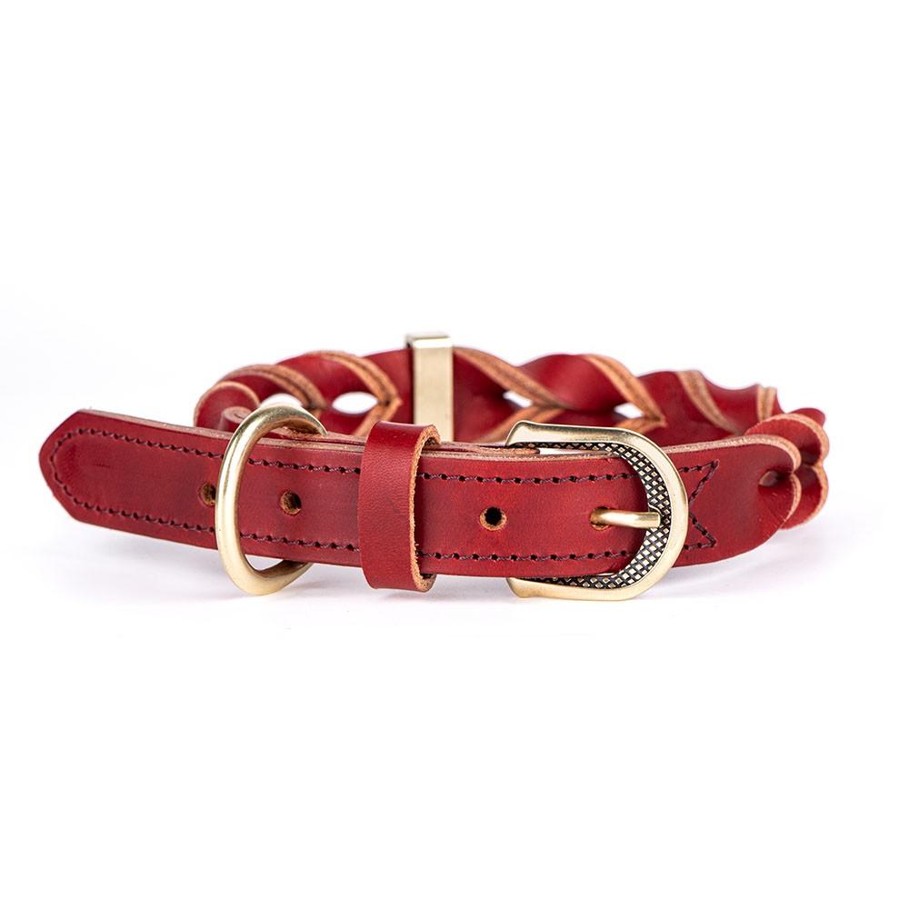 MyFamily Ascot Dog Collar, Red, Medium