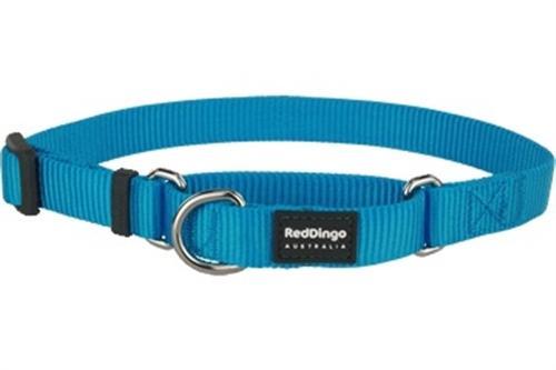 Red Dingo Classic Martingale Dog Collar, Turquoise, Medium