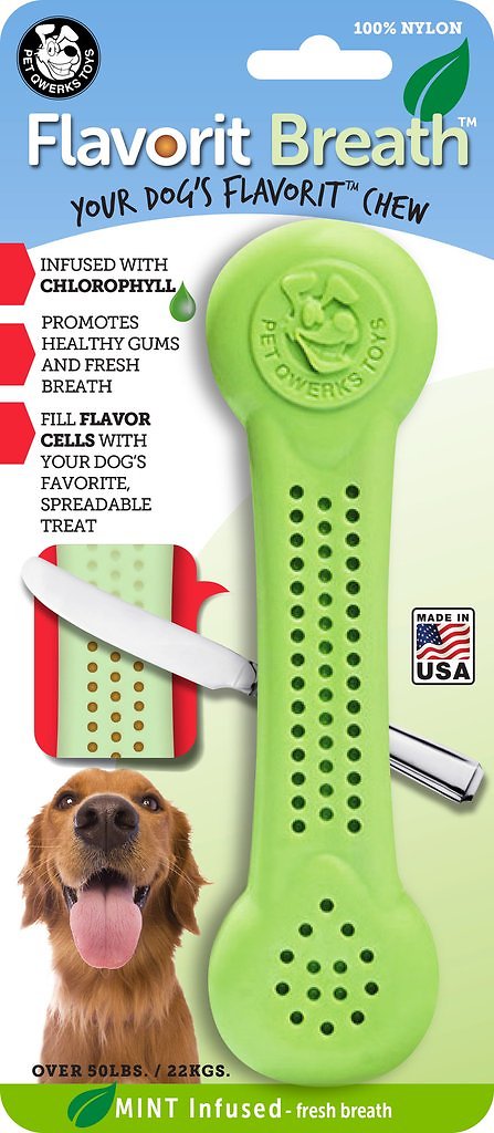 Pet Qwerks Flavorit Breath Mint Flavor Infused Nylon Bone Dog Toy