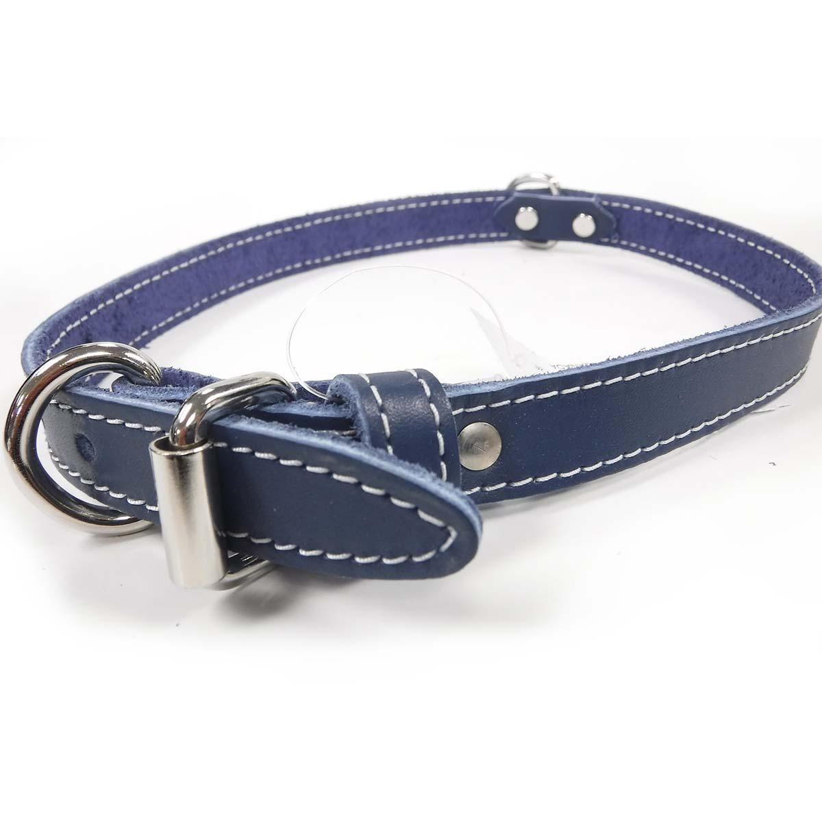 Lacets Arizona Single Leather Dog Collar, Blue