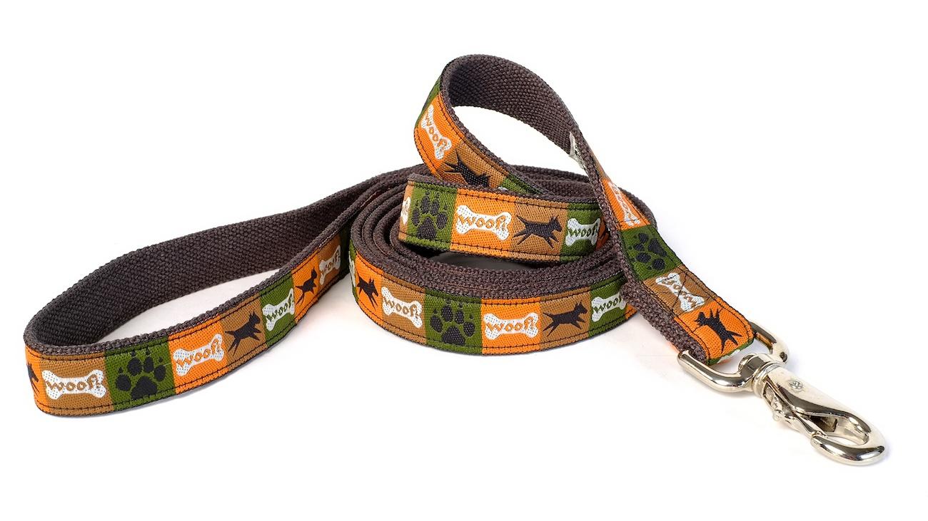 Earthdog Decorative H Dog Leash, Sage, 6-ft