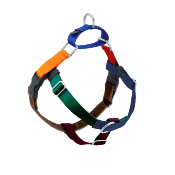 2 Hounds Design Freedom No-Pull Dog Harness & Training Leash, Jellybean Spice, Large, 1-in