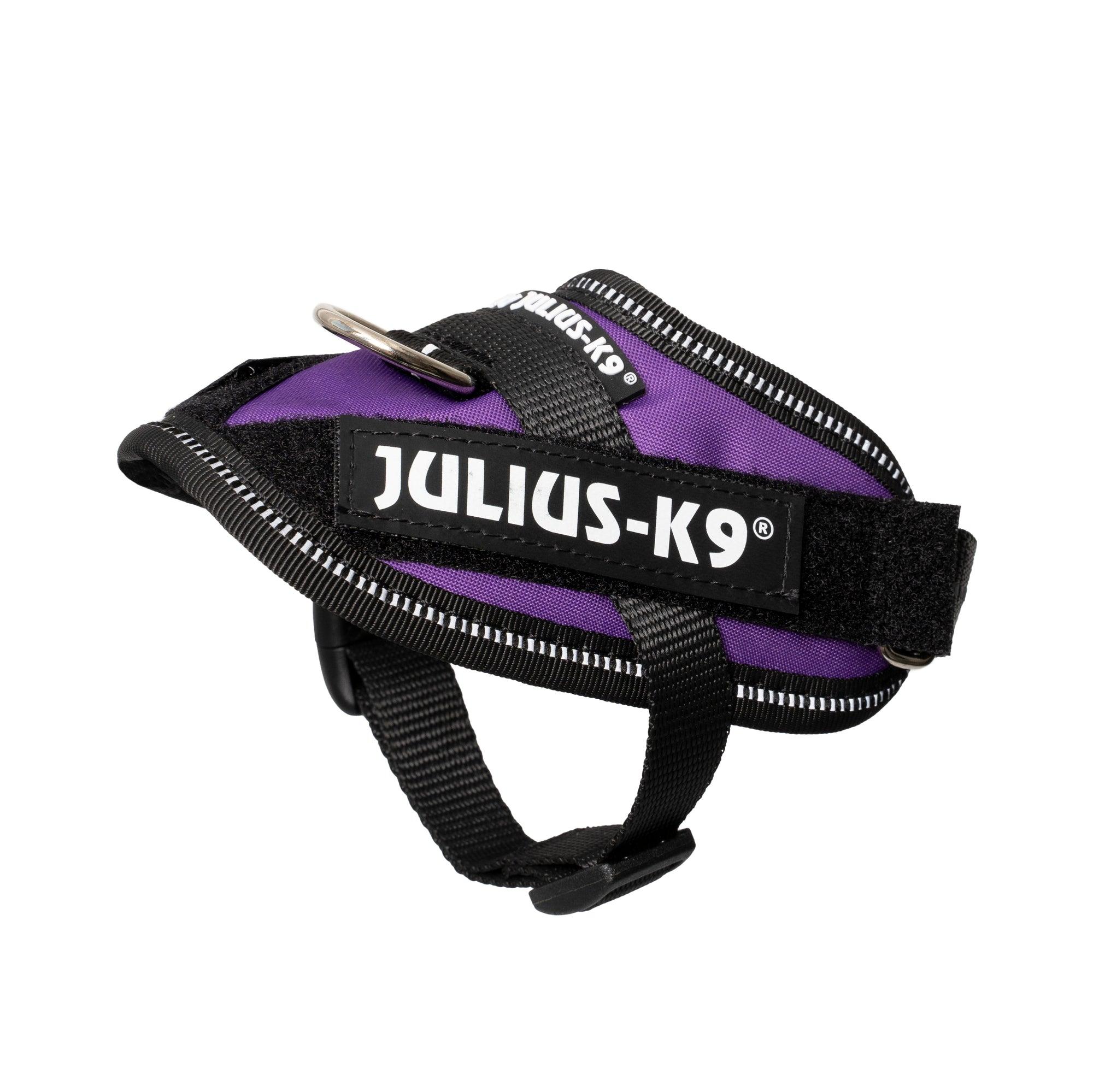 Julius-K9 IDC Powerharness Dog Harness, Dark Purple