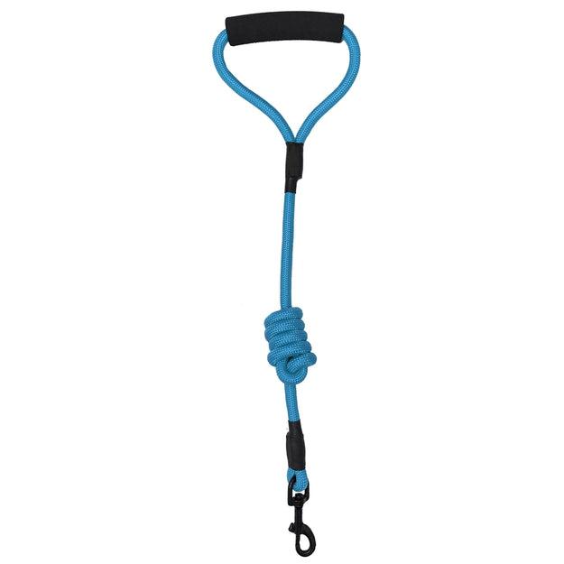 Dogline Round Nylon Dog Leash, Cyan Blue, 1/2-in x 72-in
