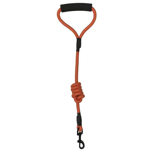 Dogline Round Nylon Dog Leash, Orange