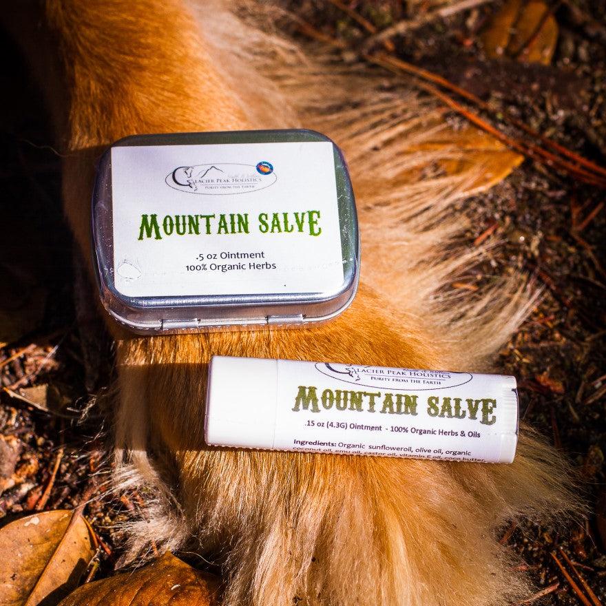 Glacier Peak Holistics Mountain Salve Ointment for Dogs, 0.15-oz tube