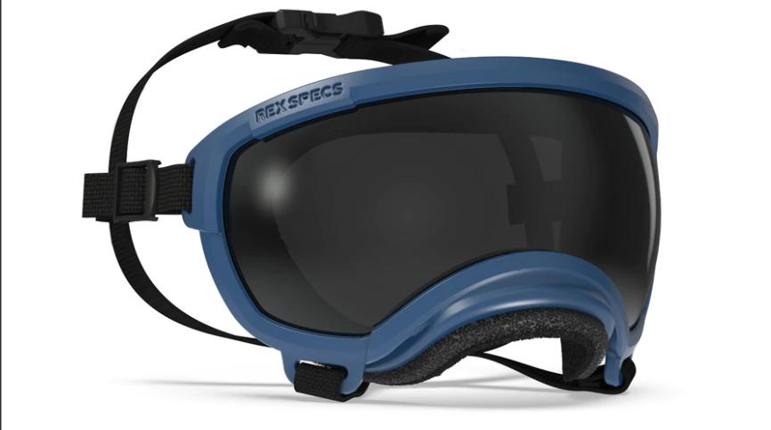 Rex Specs V2 Dog Goggle, Atlas Blue, Medium