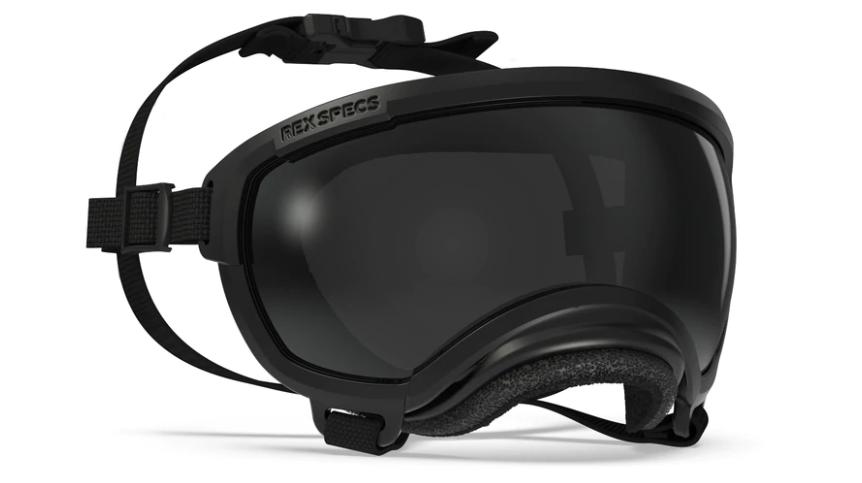 Rex Specs V2 Dog Goggle, Black, X-Small