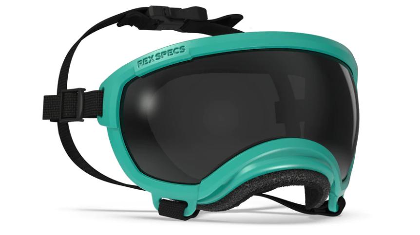 Rex Specs V2 Dog Goggle, Tazer Teal, Small
