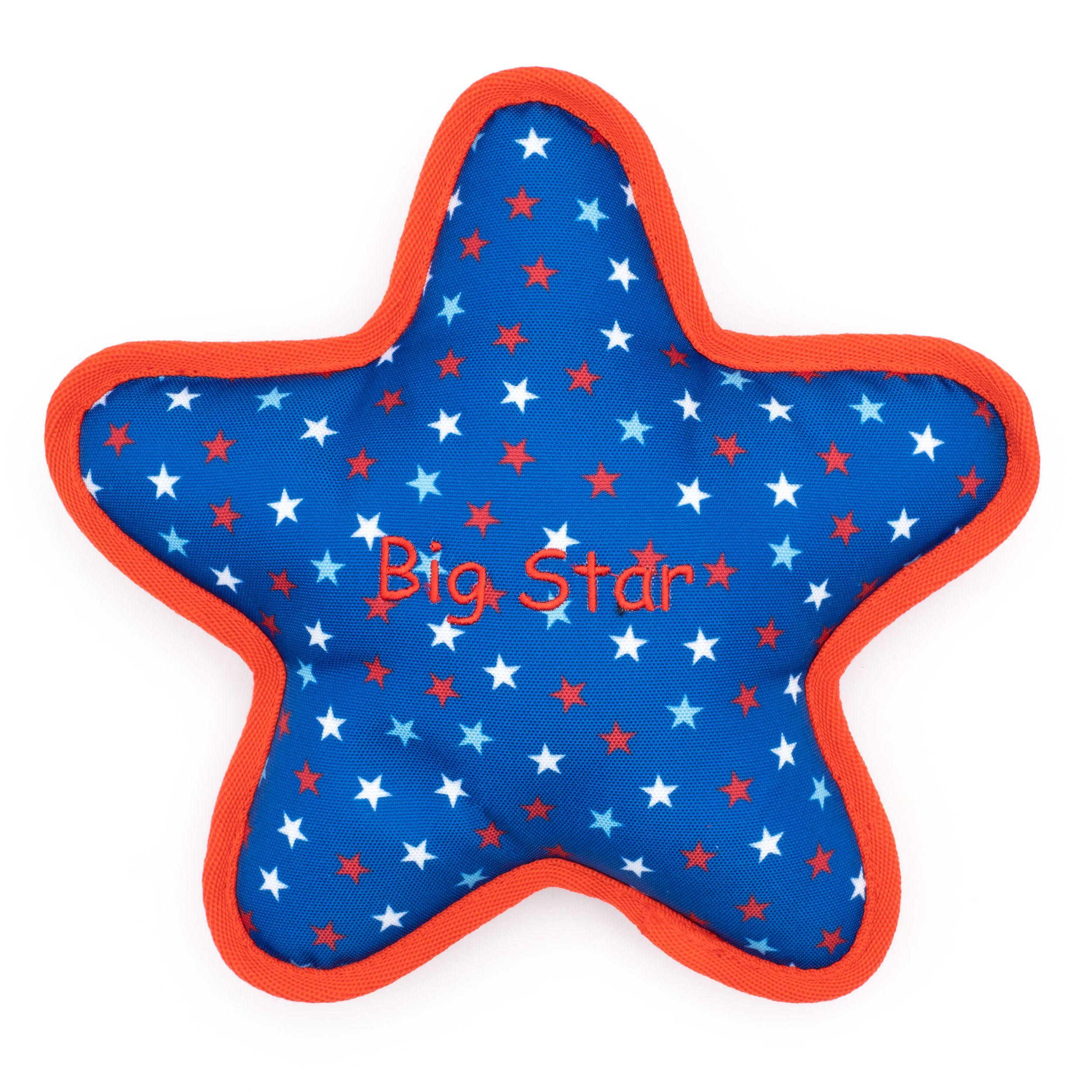 The Worthy Dog Star Dog Toy, Blue, Small
