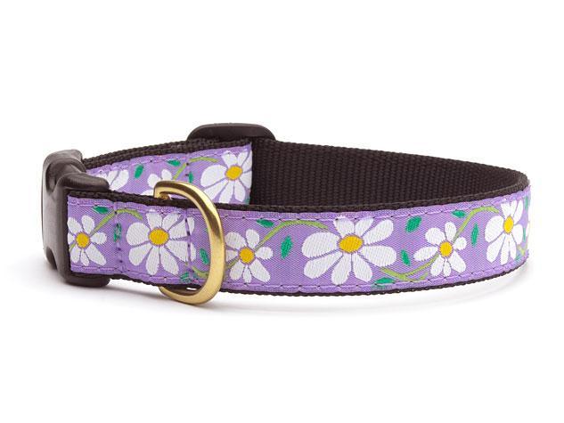 Up Country Dog Collar, Daisy, 5/8-in x 12-18-in