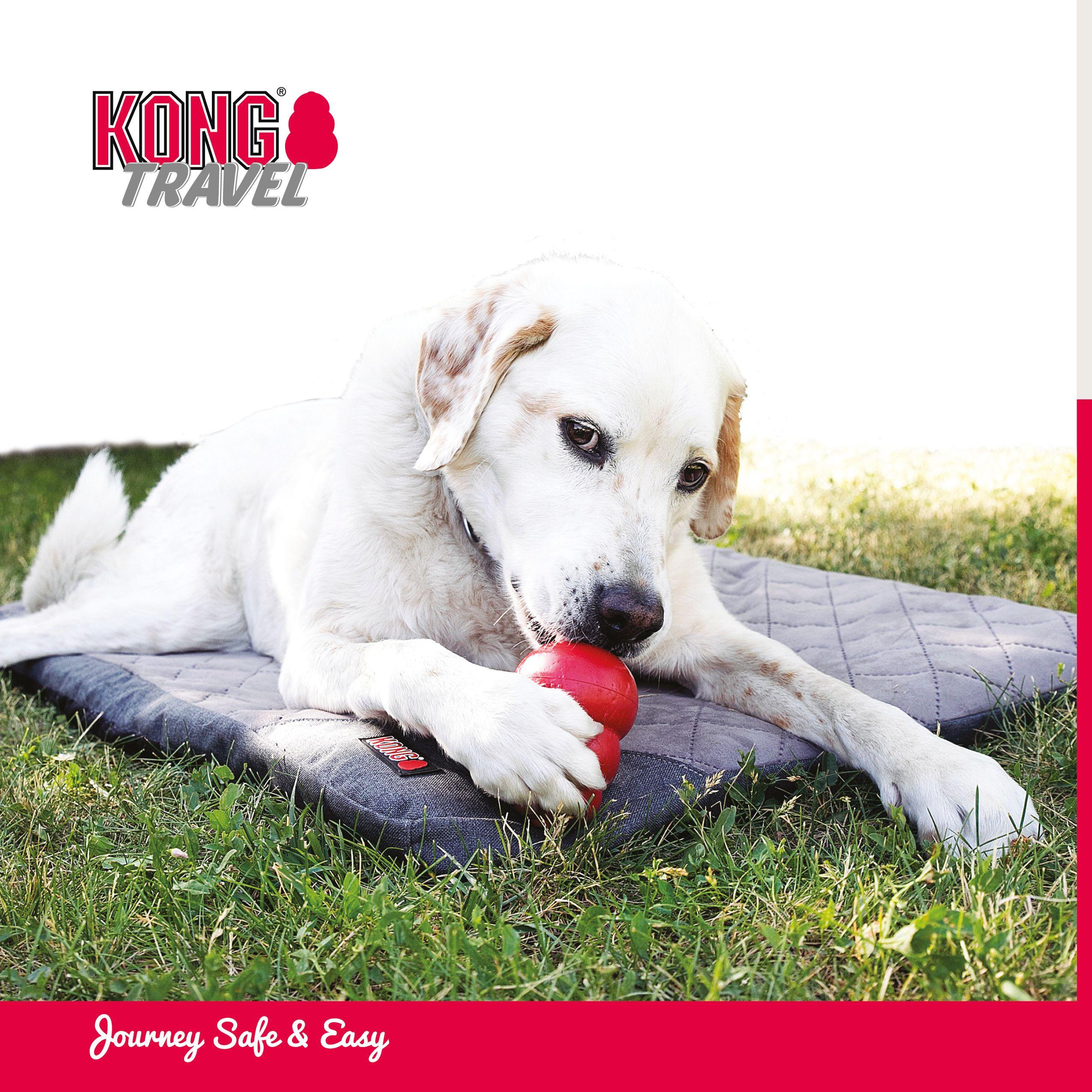 KONG Fold-Up Travel Mat for Pets, Standard