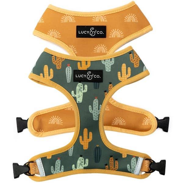 Lucy & Co. Reversible Dog Harness, The Looking Sharp, Large