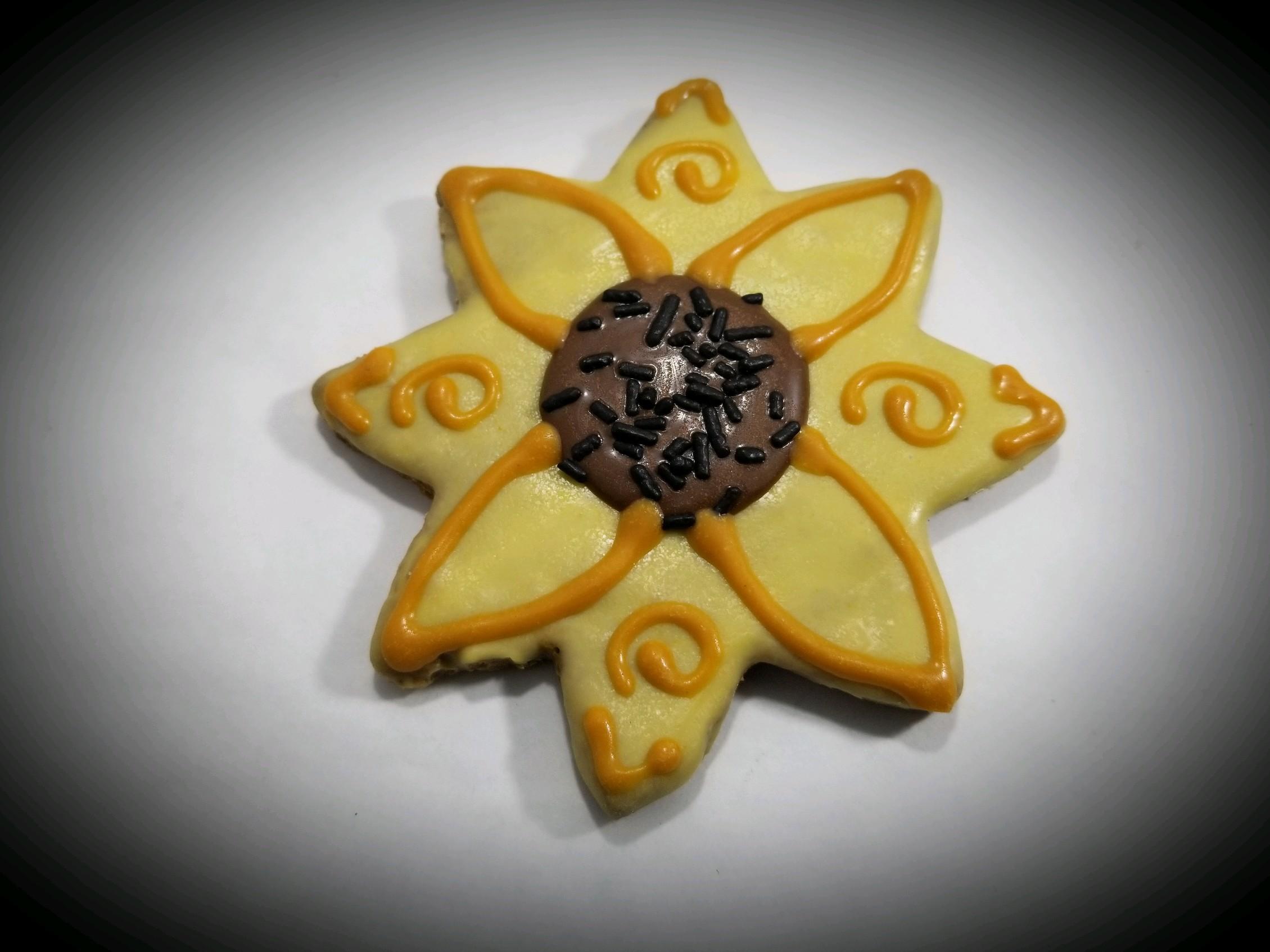 Paws Gourmet Bakery Fall Sunflowers Dog Treats (**)