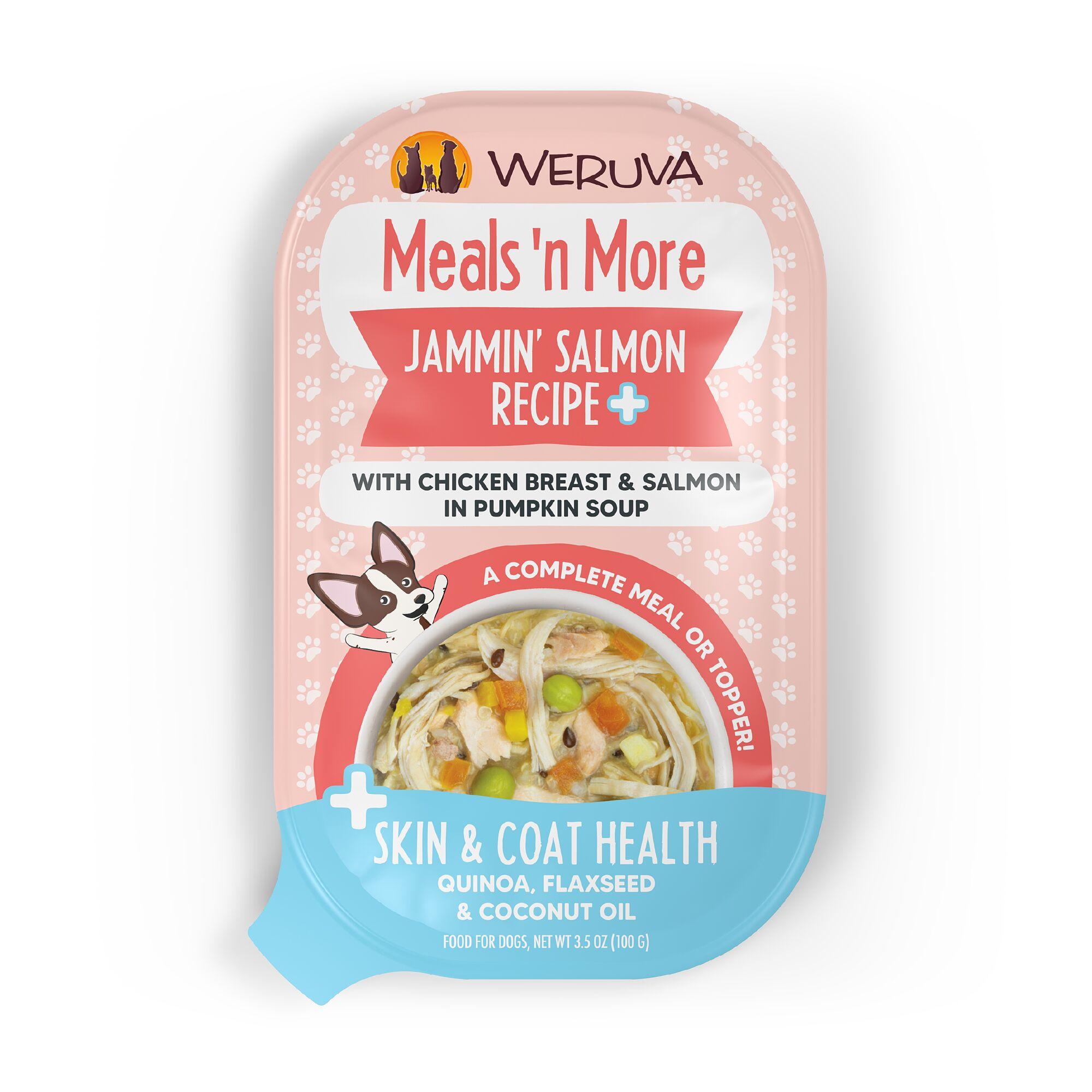 Weruva Meals 'n More Jammin' Salmon Recipe Plus in Pumpkin Soup Wet Dog Food Cup, 3.5-oz
