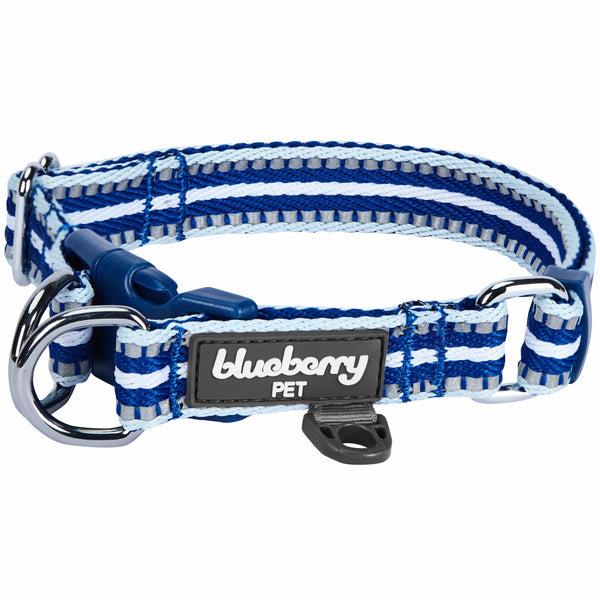 Blueberry Pet 3M Reflective Dog Collar, Blue/White, Medium
