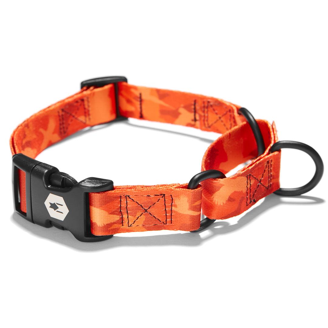 Wolfgang Martingale Dog Collar, BirdDog, Large (1-in x 18-22-in)