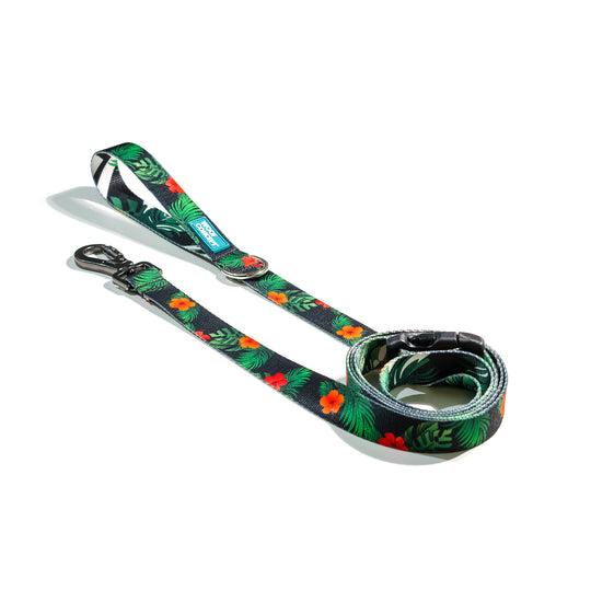 Woof Concept Laisse pour chien, Maui 2, Grand