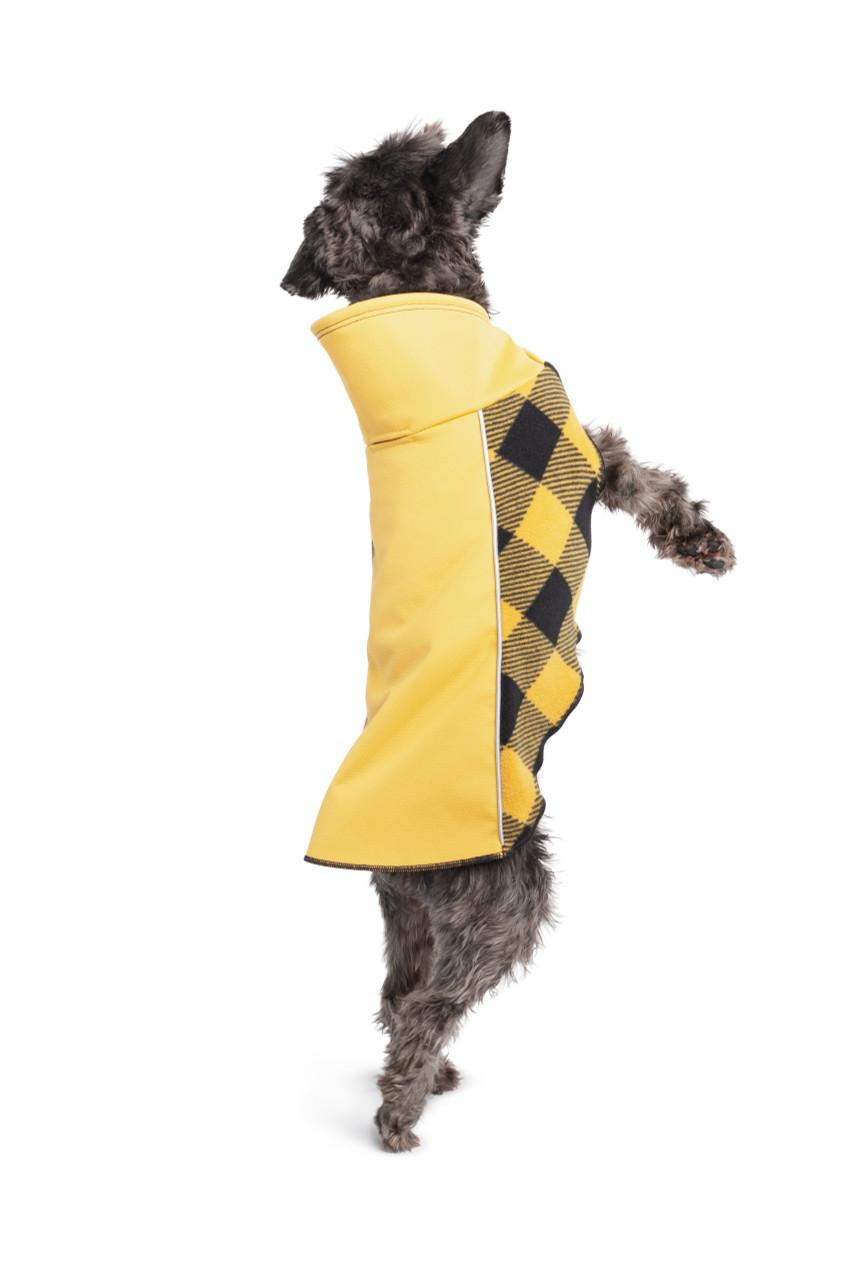 Goldpaw Portland Pullover Dog Coat, Gold/Gold Buffalo Check