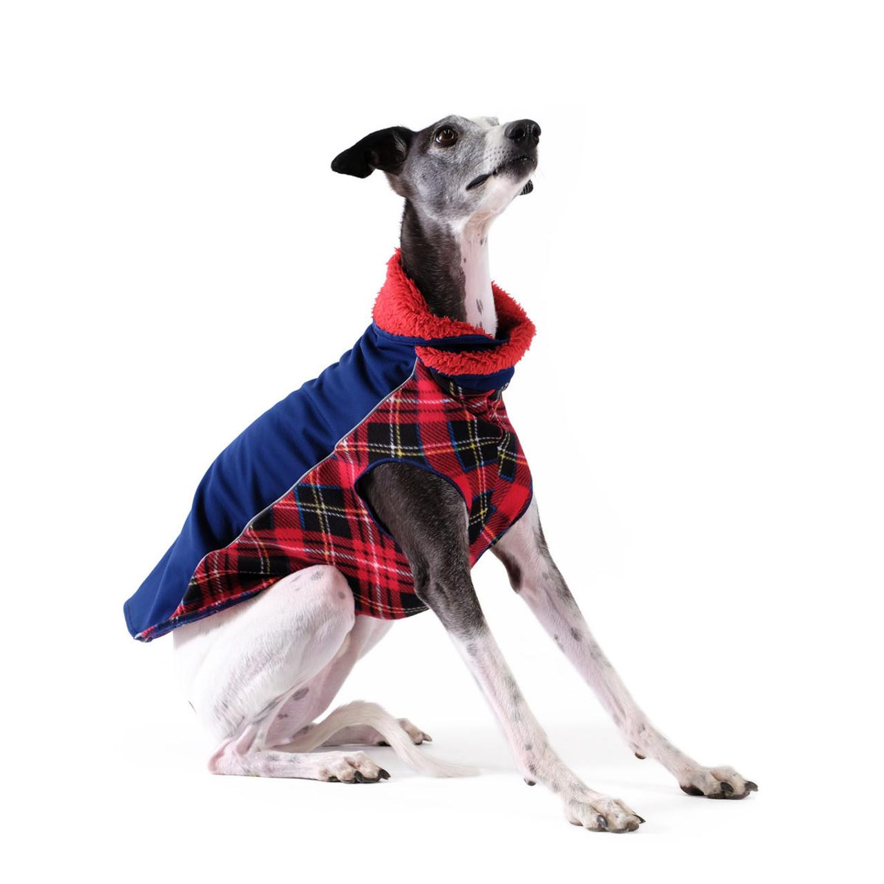 Goldpaw Portland Pullover Dog Coat, Navy/Red Plaid, 10