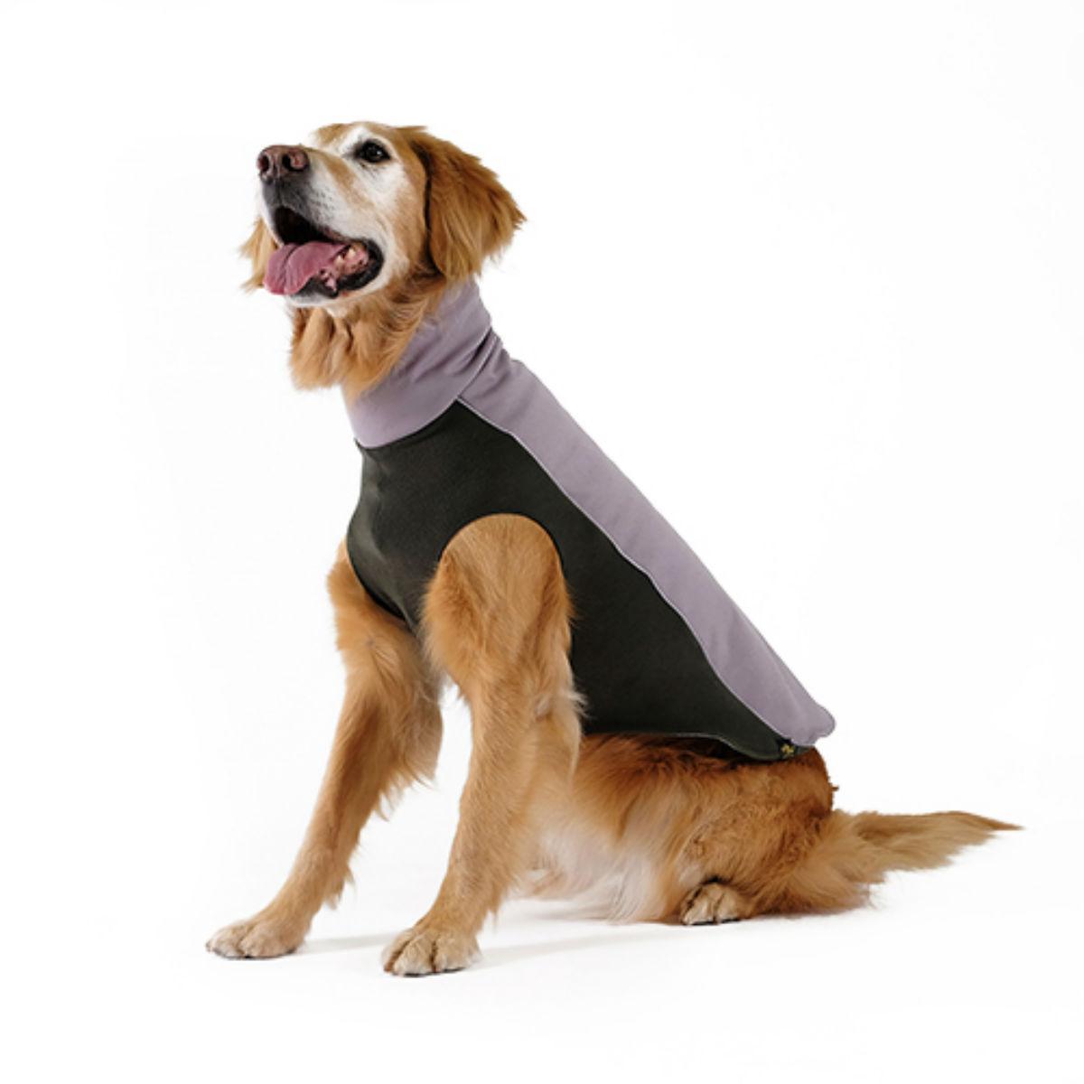 Goldpaw Portland Pullover Dog Coat, Silver/Hunter Green, 18