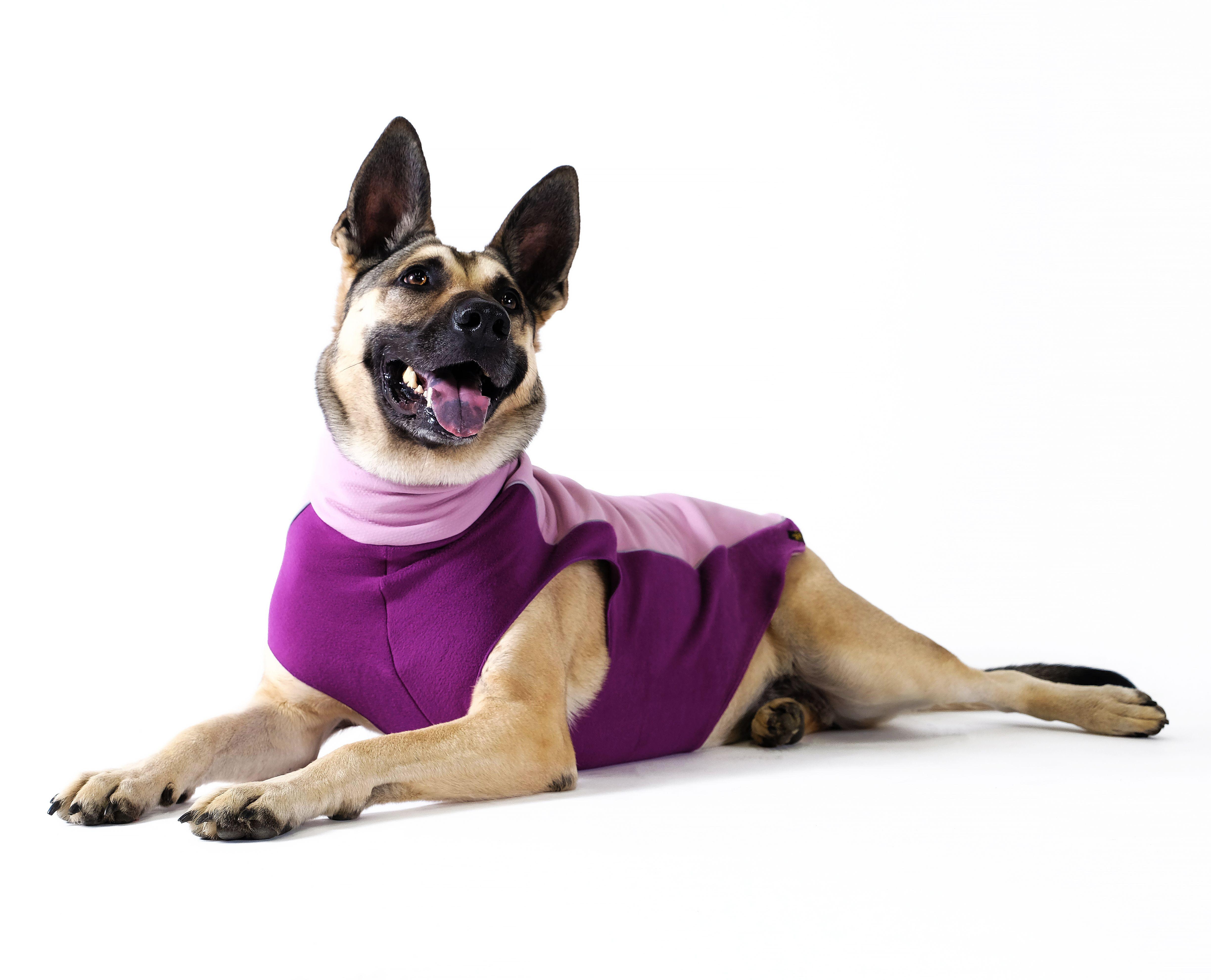 Goldpaw Portland Pullover Dog Coat, Lilac/Eggplant