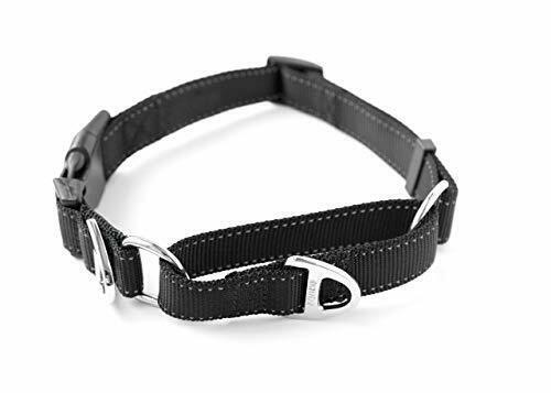 Mighty Paw Nylon Martingale Dog Collar, Black, 0.75-in x 12-14-in