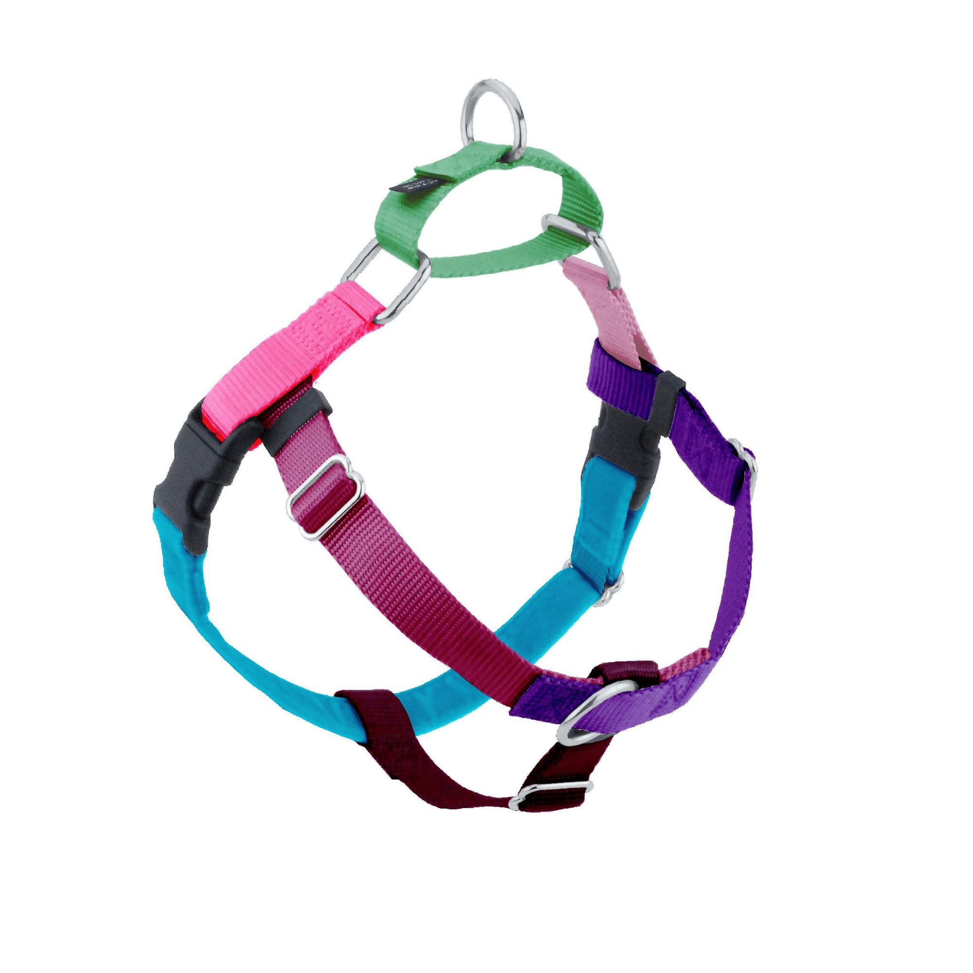 2 Hounds Design Freedom Dog Harness & Training Leash, Jellybean Sugar, X-Small, 5/8-in