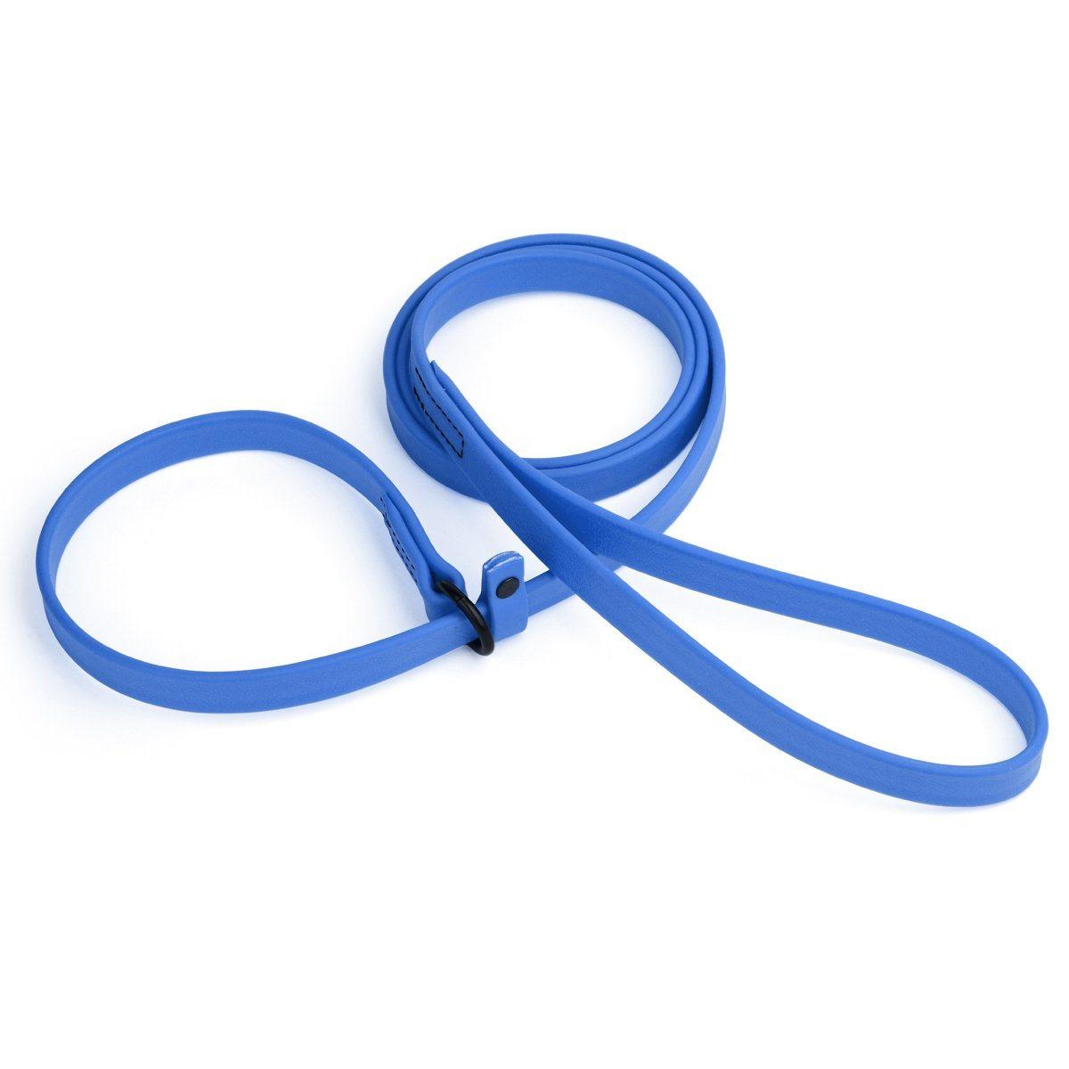 Dogline Biothane Waterproof Slip Dog Lead, Blue, 3/8-in x 5-ft