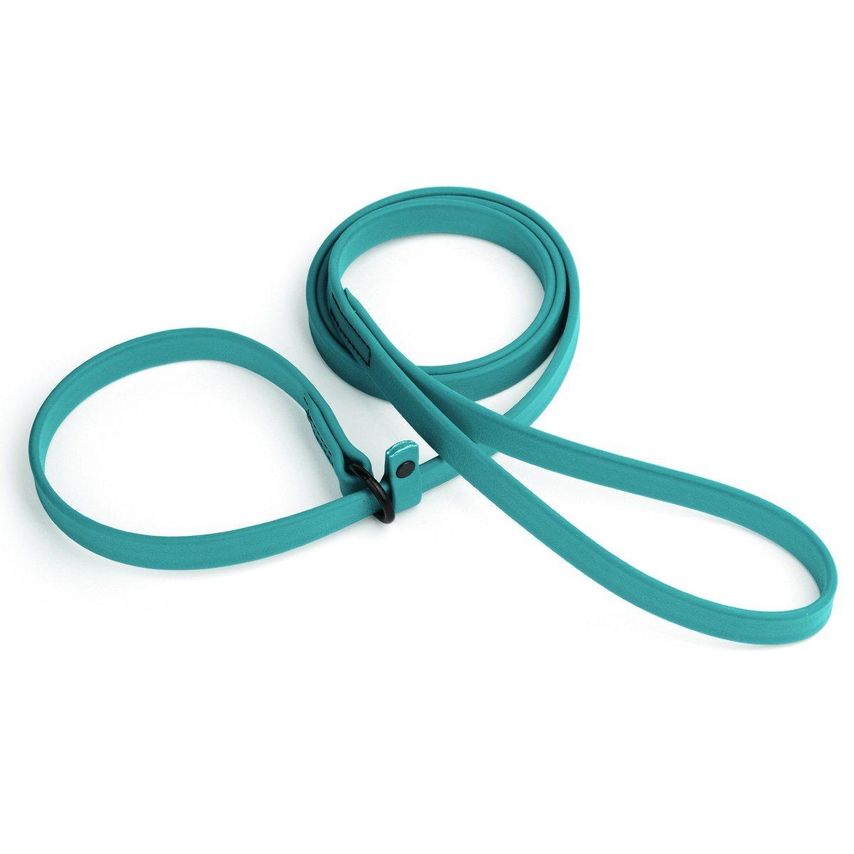 Dogline Biothane Waterproof Slip Dog Lead, Teal, 5/8-in x 5-ft