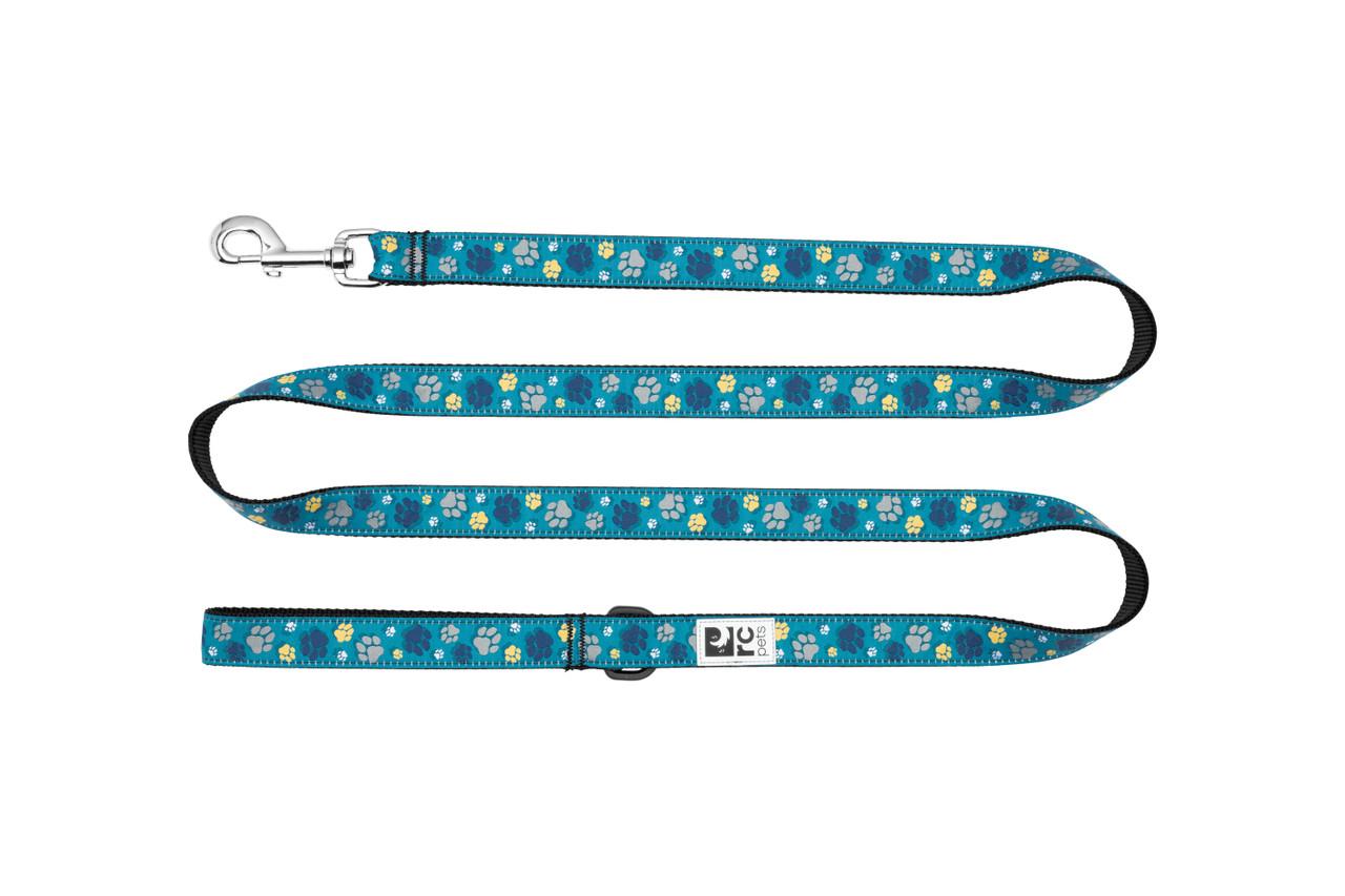 RC Pets Dog Leash, Fresh Tracks Teal, 3/4-in x 6-ft