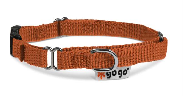 GoGo Adjustable Martingale Dog Collar, Orange, Large