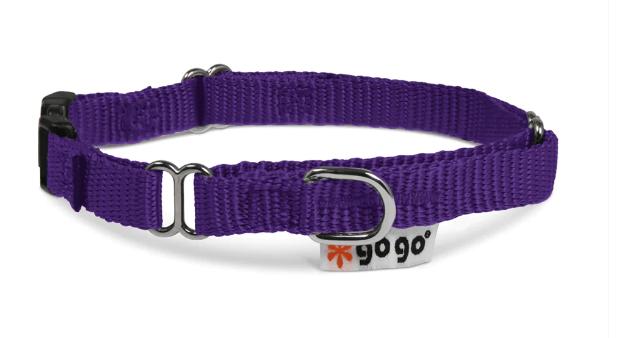 GoGo Adjustable Martingale Dog Collar, Purple, Medium