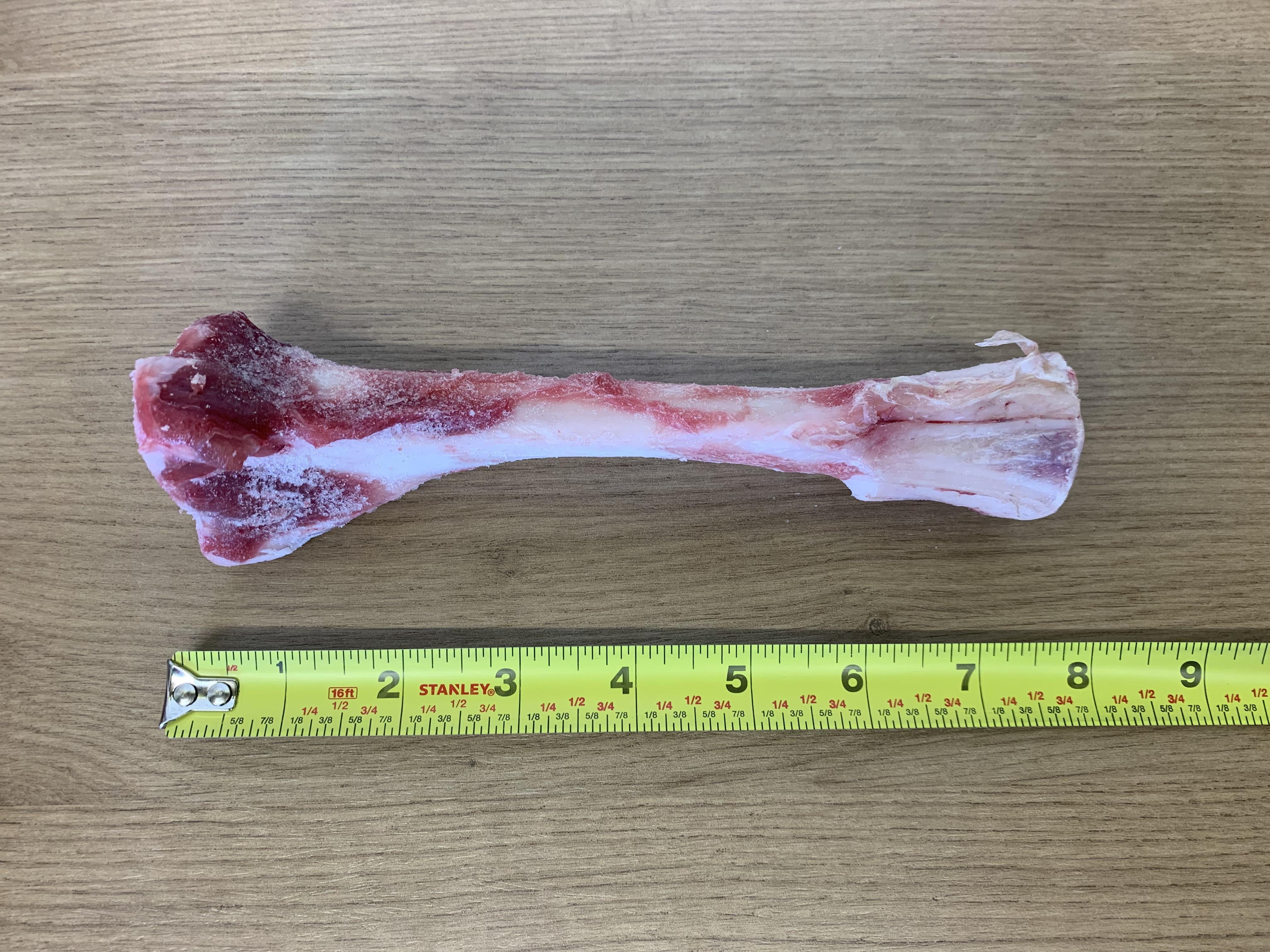Urban Tails Pet Specialties Frozen Raw Lamb Femur Dog Treats