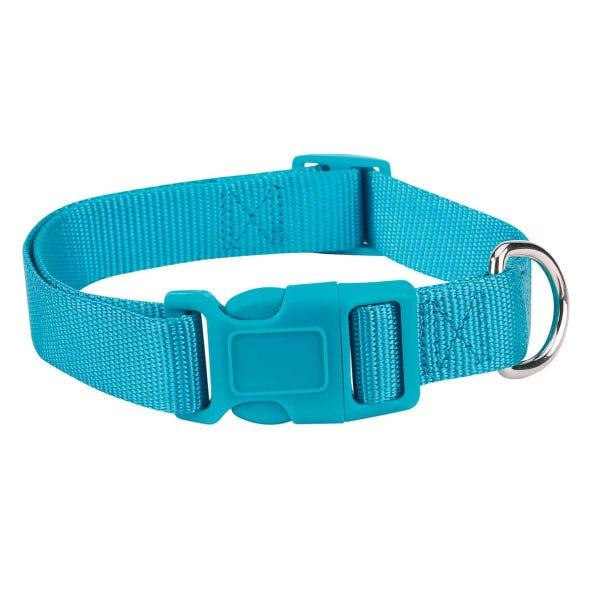 Casual Canine Dog Collar, Blue