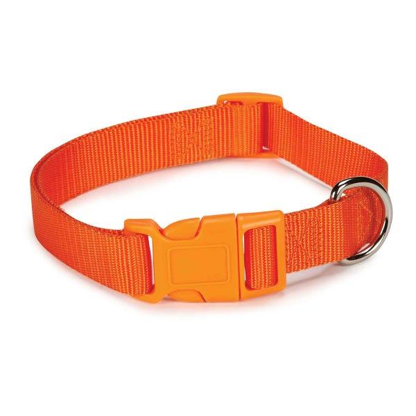 Casual Canine Dog Collar, Orange, 14-20-in