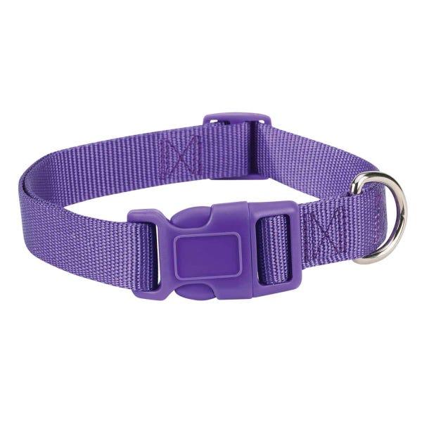 Casual Canine Dog Collar, Purple, 18-26-in