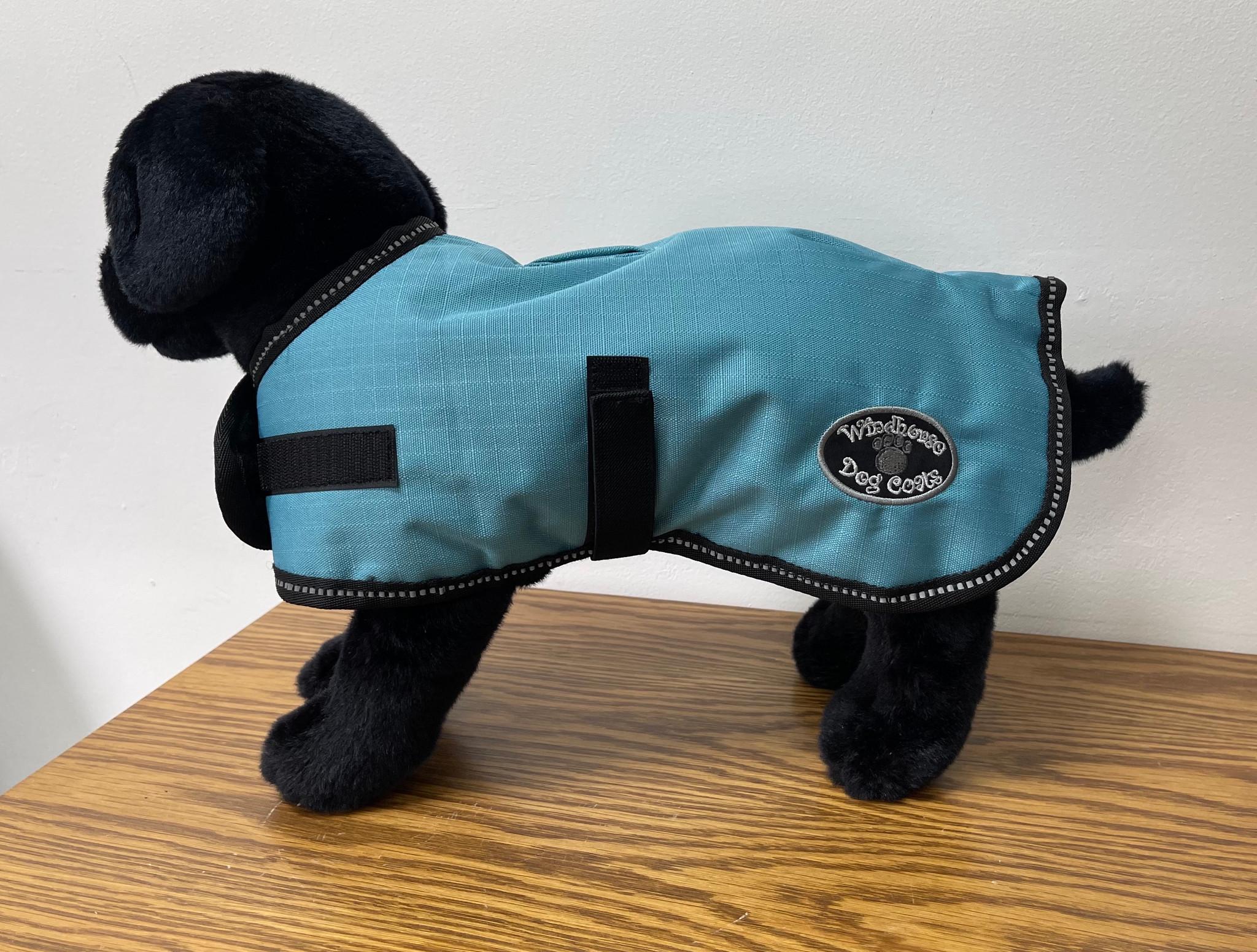 Windhorse Dog Coat, Teal, Large