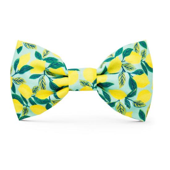 The Foggy Dog Bow Tie for Dogs, Lemon Zest