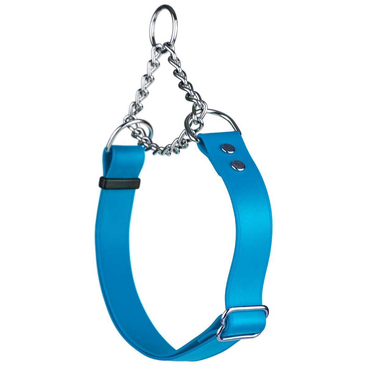 Dogline Biothane Adjustable Martingale Dog Collar, Cyan Blue