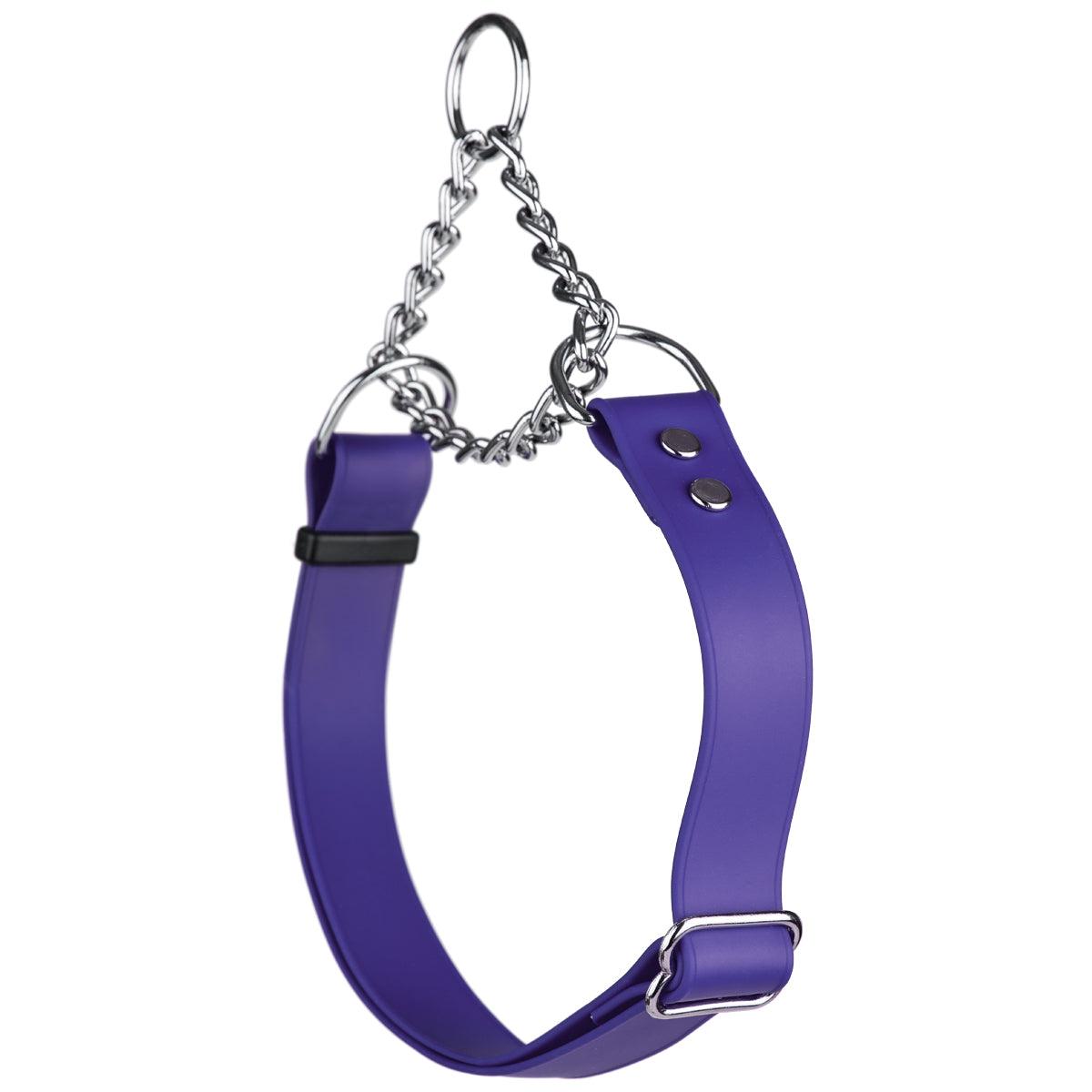 Dogline Biothane Adjustable Martingale Dog Collar, Purple