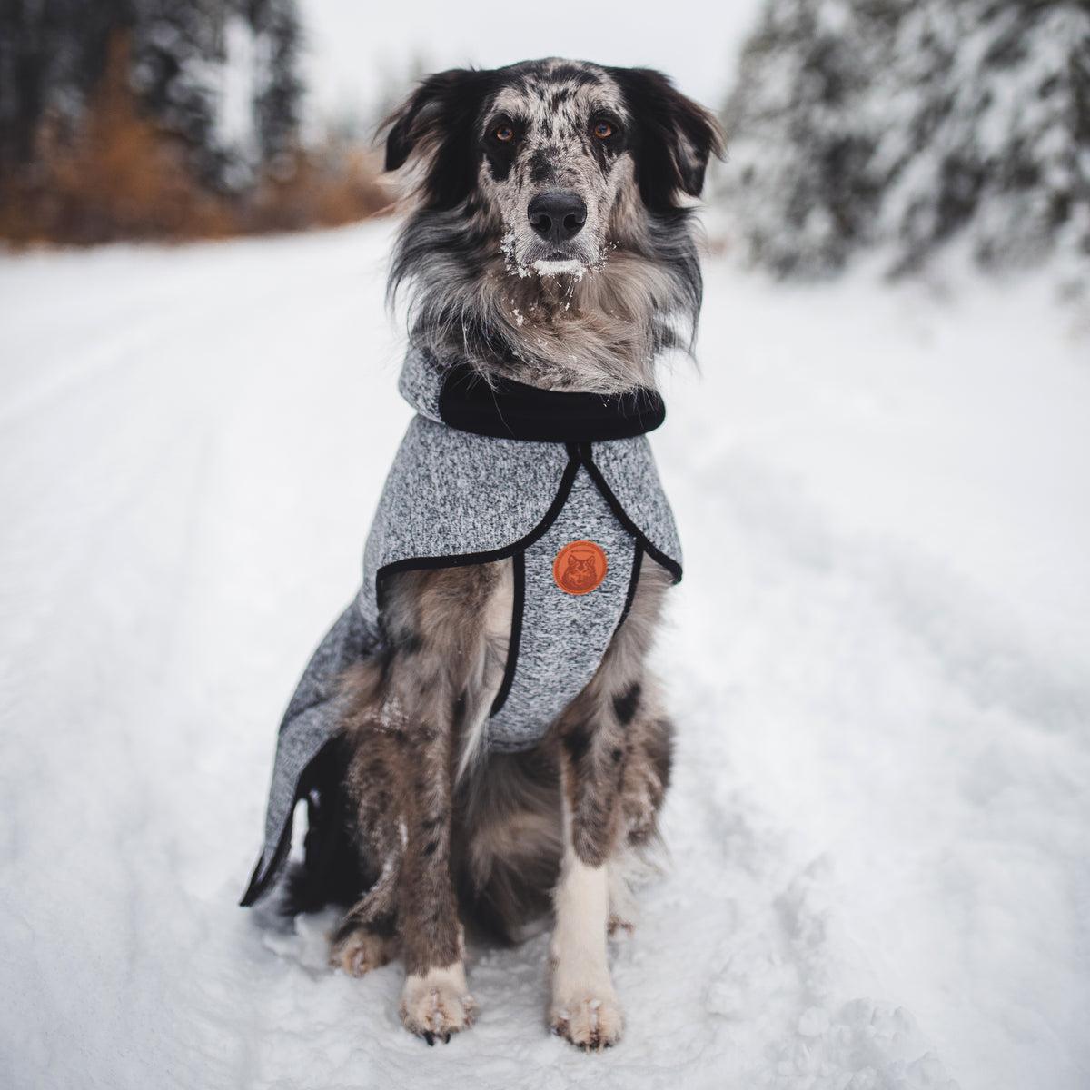 Wilderdog Fleece Dog Jacket, Gray, Large
