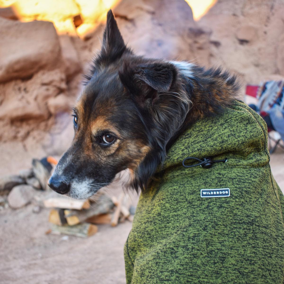 Wilderdog Fleece Dog Jacket, Olive, Large