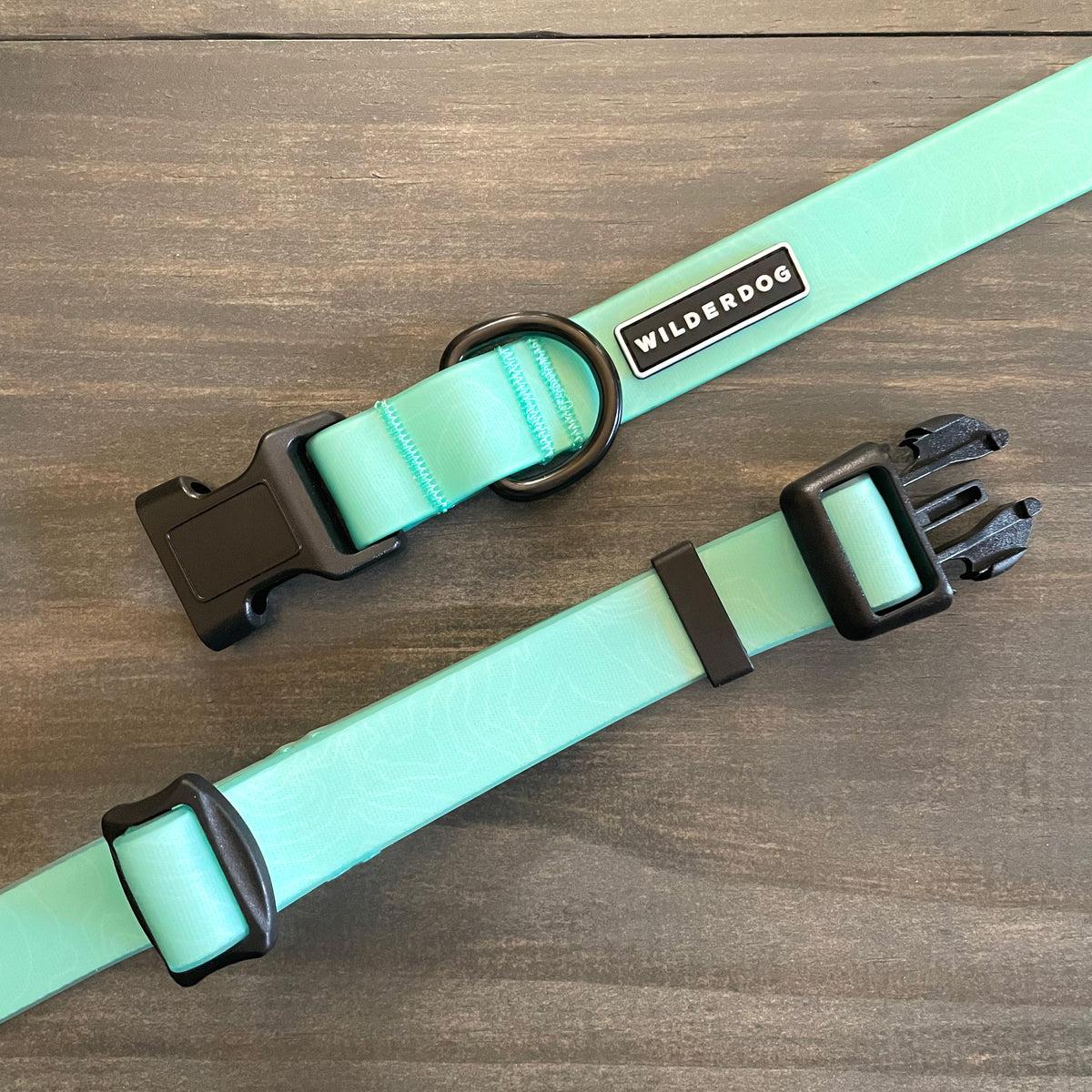 Wilderdog Waterproof Dog Collar, Seafoam, Large