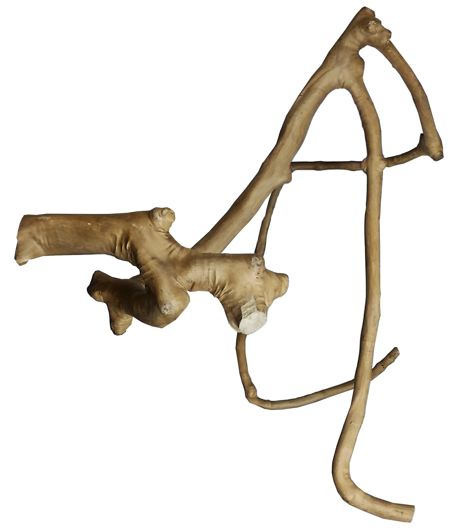 A&E Cage Company Java Wood Multi Branch Bird Perch, Large