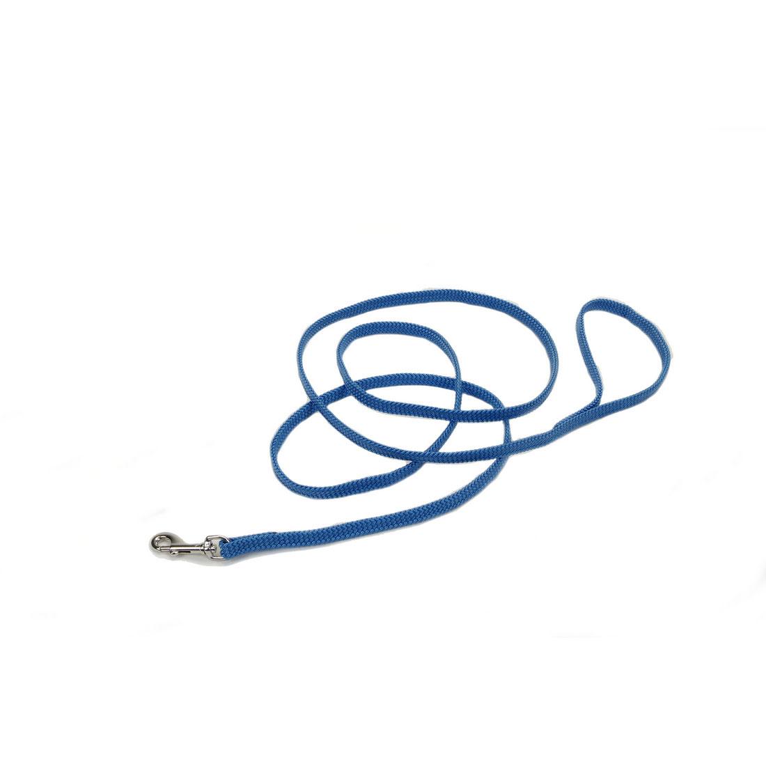 Sunburst Dog Leash, Blue Lagoon