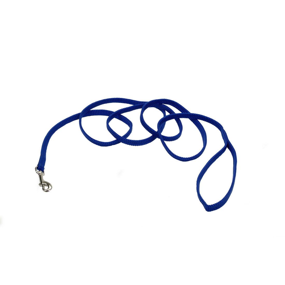 Sunburst Dog Leash, Blue, 3/8-in x 6-ft