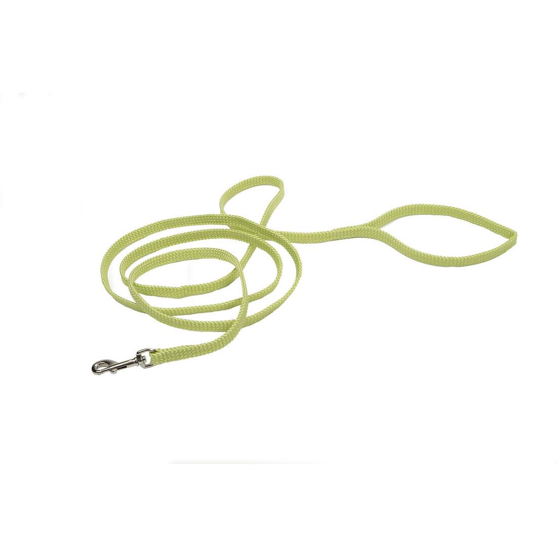 Sunburst Dog Leash, Lime